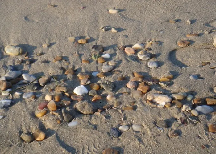 Ξενοδοχείο Anemos